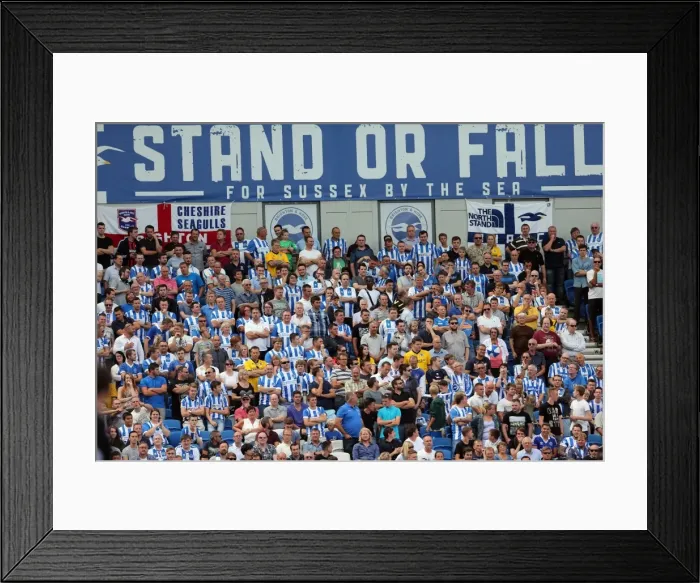 Framed Print : Brighton & Hove Albion 2014-15: Home Game vs Sheffield Wednesday (09 / 08 / 14)