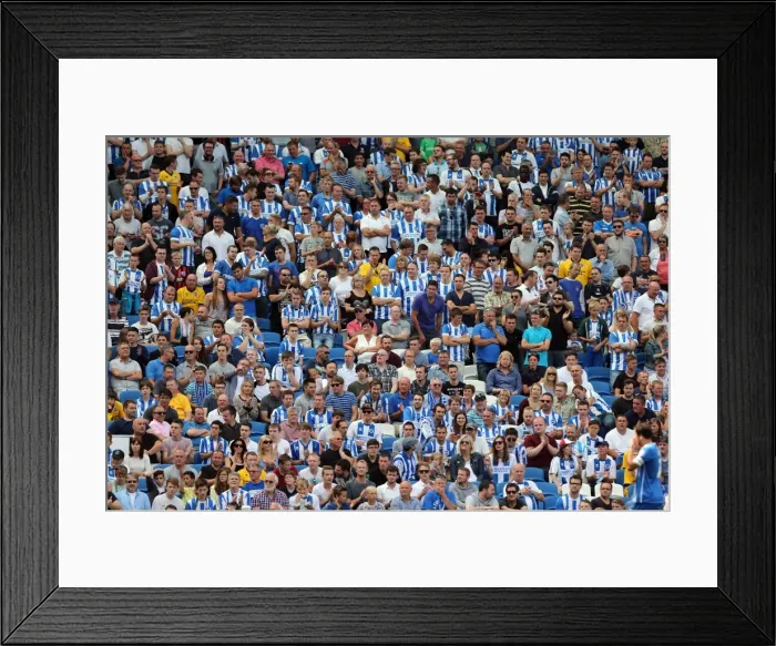 Framed Print : Brighton & Hove Albion vs Sheffield Wednesday (09 / 08 / 14): 2014-15 Home Game