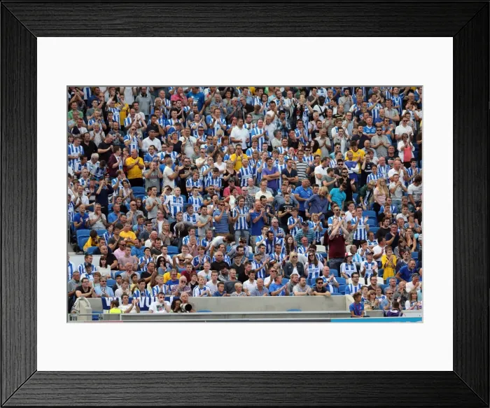 Framed Print : Brighton & Hove Albion vs. Sheffield Wednesday (09 / 08 / 14): 2014-15 Home Game