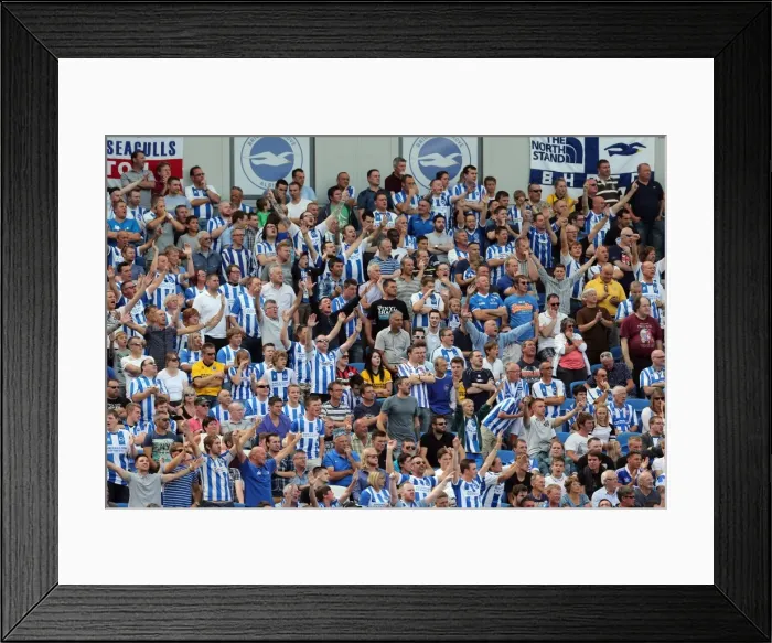Framed Print : Brighton & Hove Albion 2014-15: Home Game vs. Sheffield Wednesday (September 8, 2014) Framed Print : Brighton & Hove Albion 2014-15: Home Game vs. Sheffield Wednesday (September 8, 2014)