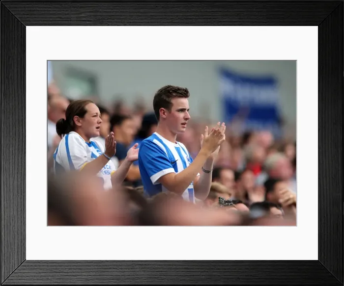 Framed Print : Brighton & Hove Albion 2014-15: Home Game vs Sheffield Wednesday (September 8th, 2014) Framed Print : Brighton & Hove Albion 2014-15: Home Game vs Sheffield Wednesday (September 8th, 2014)