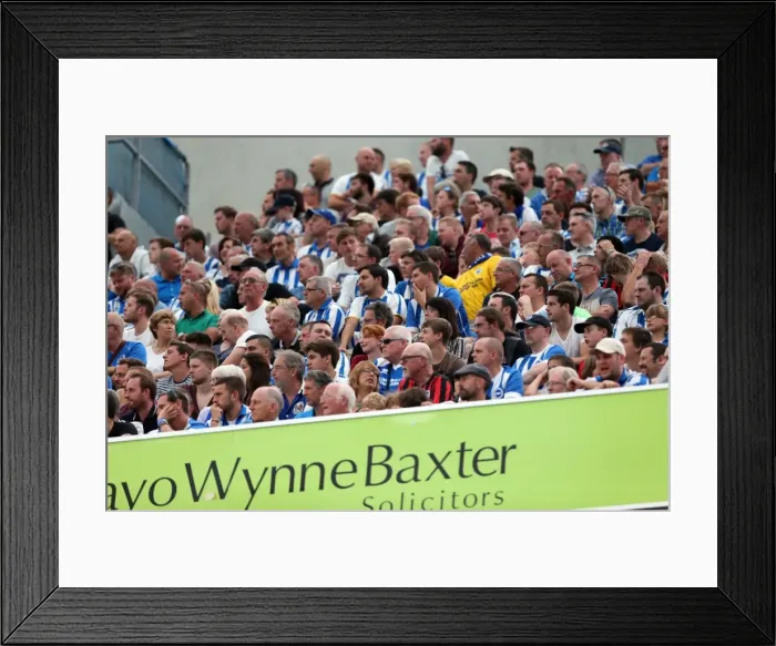 Framed Print : Brighton & Hove Albion vs. Sheffield Wednesday (09 / 08 / 14): 2014-15 Home Game Framed Print : Brighton & Hove Albion vs. Sheffield Wednesday (09 / 08 / 14): 2014-15 Home Game
