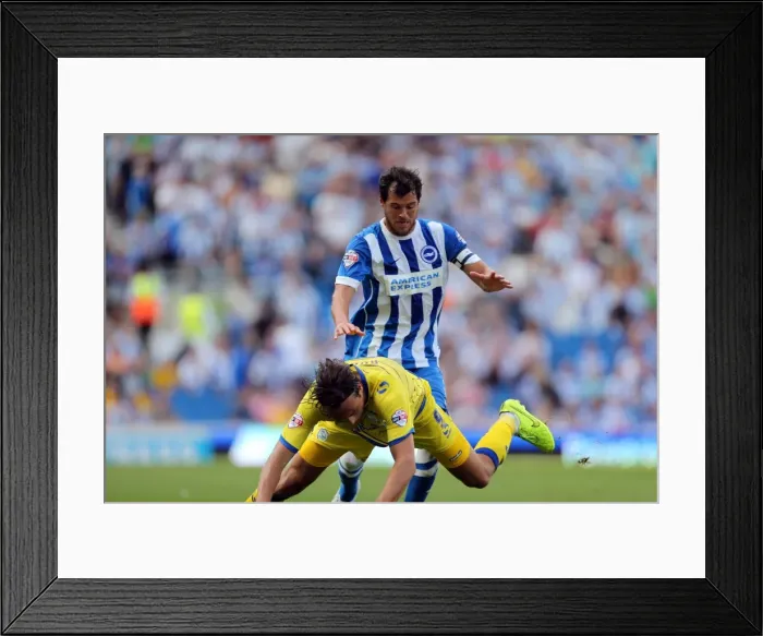Framed Print : Brighton & Hove Albion 2014-15: Home Game vs. Sheffield Wednesday (09 / 08 / 14) Framed Print : Brighton & Hove Albion 2014-15: Home Game vs. Sheffield Wednesday (09 / 08 / 14)