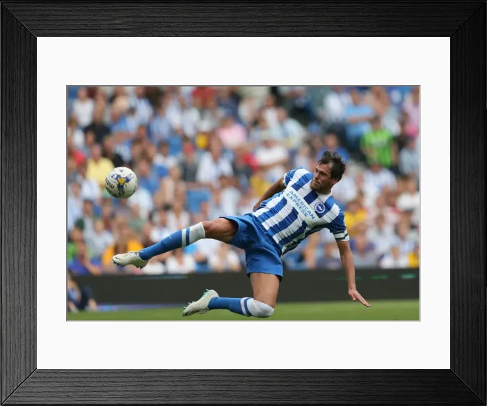 Framed Print : Brighton & Hove Albion vs. Sheffield Wednesday (09 / 08 / 14): 2014-15 Home Game