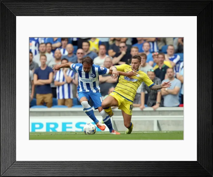 Framed Print : Brighton & Hove Albion 2014-15: Home Match vs Sheffield Wednesday (September 8th) Framed Print : Brighton & Hove Albion 2014-15: Home Match vs Sheffield Wednesday (September 8th)
