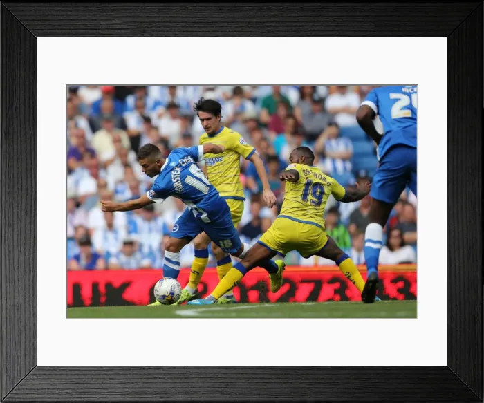 Framed Print : Brighton & Hove Albion 2014-15: Home Game vs Sheffield Wednesday (September 8th, 2014) Framed Print : Brighton & Hove Albion 2014-15: Home Game vs Sheffield Wednesday (September 8th, 2014)