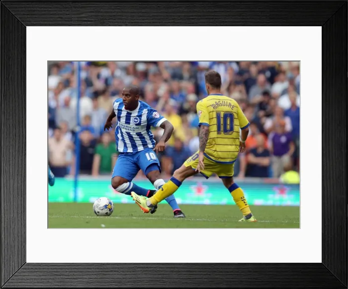 Framed Print : Brighton & Hove Albion 2014-15: Home Game vs. Sheffield Wednesday (September 8, 2014) Framed Print : Brighton & Hove Albion 2014-15: Home Game vs. Sheffield Wednesday (September 8, 2014)