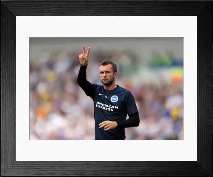 Framed Print : Brighton & Hove Albion 2014-15: Home Game vs Sheffield Wednesday (09 / 08 / 14)