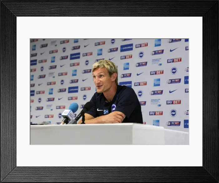Framed Print : Brighton & Hove Albion 2014-15: Home Match vs Sheffield Wednesday (September 8th, 2014) Framed Print : Brighton & Hove Albion 2014-15: Home Match vs Sheffield Wednesday (September 8th, 2014)