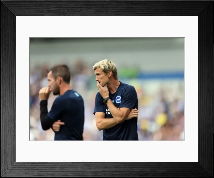 Framed Print : Brighton & Hove Albion 2014-15: Home Match against Sheffield Wednesday (September 8th, 2014) Framed Print : Brighton & Hove Albion 2014-15: Home Match against Sheffield Wednesday (September 8th, 2014)