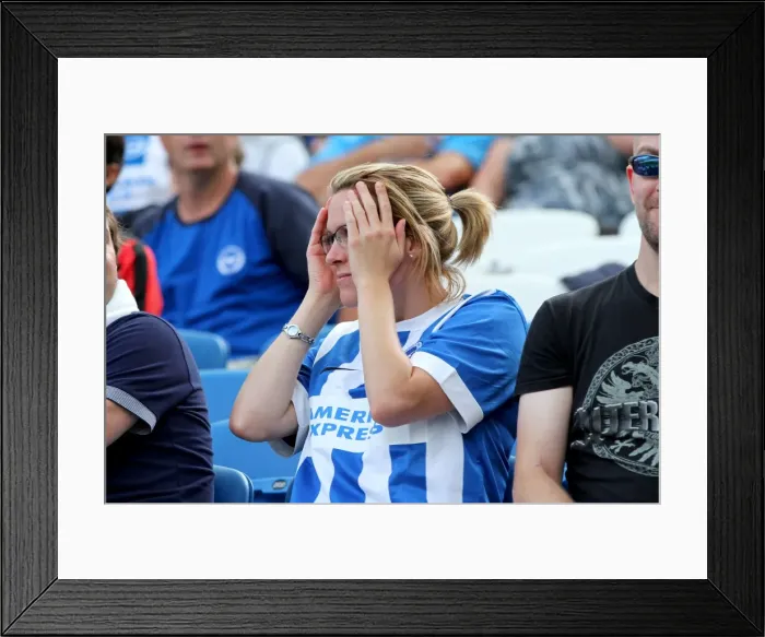 Framed Print : Brighton & Hove Albion vs. Sheffield Wednesday (09 / 08 / 14): 2014-15 Home Game Framed Print : Brighton & Hove Albion vs. Sheffield Wednesday (09 / 08 / 14): 2014-15 Home Game