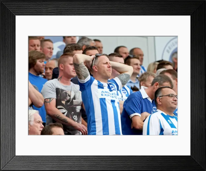 Framed Print : Brighton & Hove Albion vs. Sheffield Wednesday: 2014-15 Season Home Game Framed Print : Brighton & Hove Albion vs. Sheffield Wednesday: 2014-15 Season Home Game