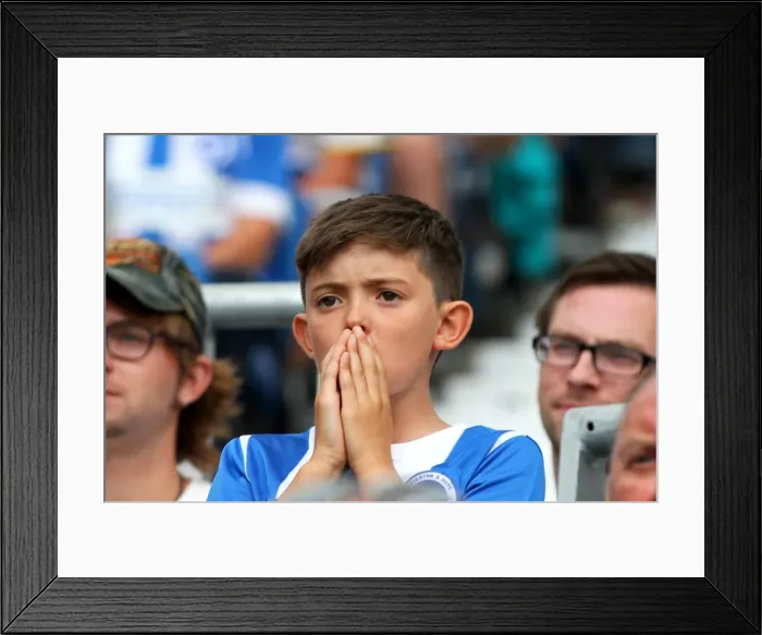 Framed Print : Brighton & Hove Albion vs. Sheffield Wednesday (09 / 08 / 14): 2014-15 Home Game