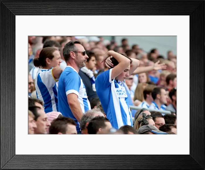 Framed Print : Brighton & Hove Albion 2014-15: Home Game vs Sheffield Wednesday (September 8th, 2014) Framed Print : Brighton & Hove Albion 2014-15: Home Game vs Sheffield Wednesday (September 8th, 2014)