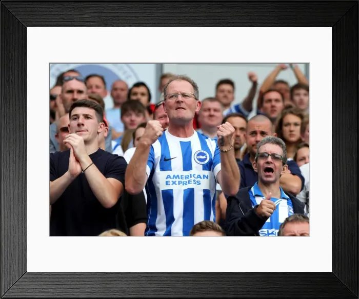 Framed Print : Brighton & Hove Albion 2014-15: Home Game vs Sheffield Wednesday (09 / 08 / 14) Framed Print : Brighton & Hove Albion 2014-15: Home Game vs Sheffield Wednesday (09 / 08 / 14)