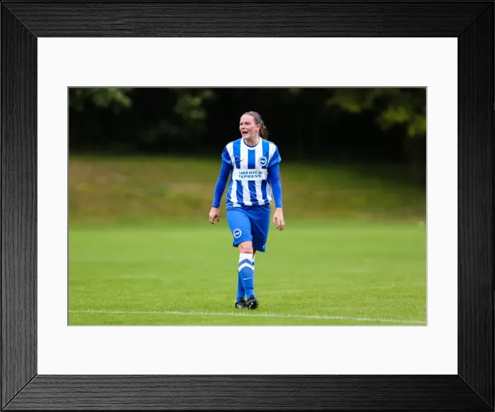 Framed Print : Brighton & Hove Albion Women vs. Arsenal DS: 10Aug14