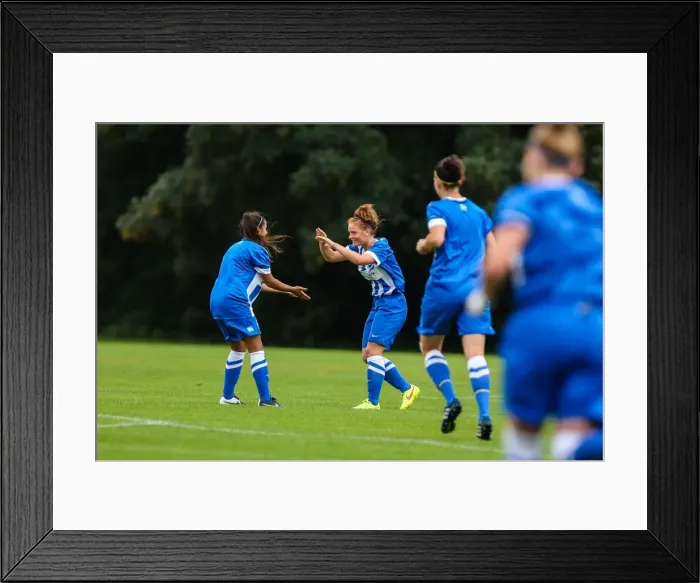 Framed Print : Brighton & Hove Albion vs. Arsenal Women: August 10, 2014 (Arsenal DS)