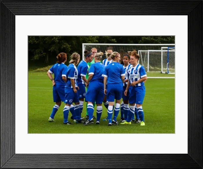 Framed Print : Brighton & Hove Albion Women vs. Arsenal DS: 10Aug14