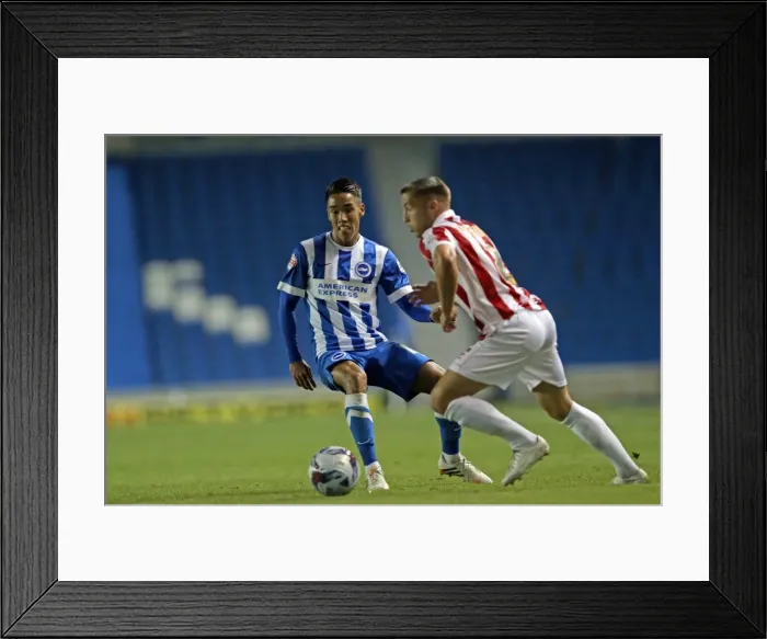 Framed Print : Brighton & Hove Albion 2014-15: Home Game vs Cheltenham (August 12, 2014) Framed Print : Brighton & Hove Albion 2014-15: Home Game vs Cheltenham (August 12, 2014)