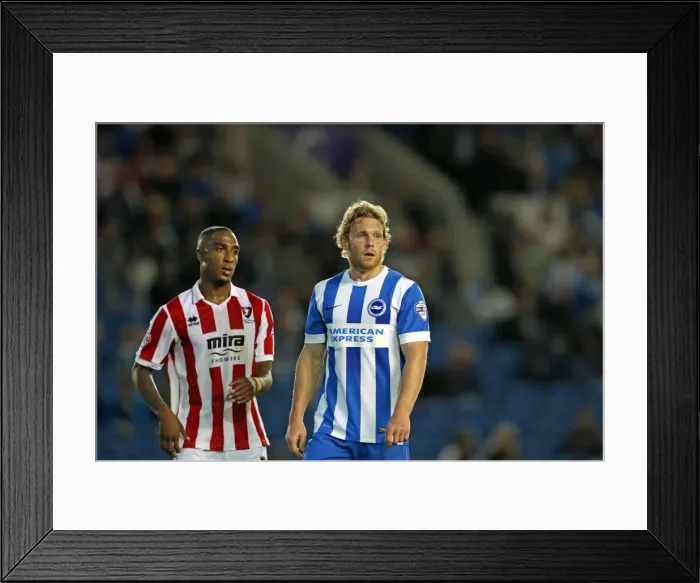 Framed Print : Brighton & Hove Albion 2014-15: Home Game vs. Cheltenham (August 12, 2014) Framed Print : Brighton & Hove Albion 2014-15: Home Game vs. Cheltenham (August 12, 2014)