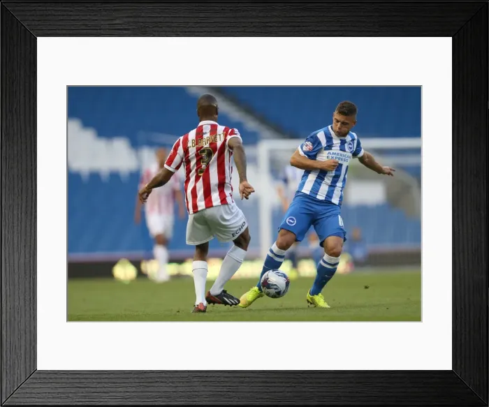 Framed Print : Brighton & Hove Albion 2014-15: Home Game vs. Cheltenham (August 12, 2014) Framed Print : Brighton & Hove Albion 2014-15: Home Game vs. Cheltenham (August 12, 2014)