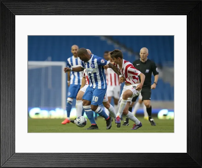 Framed Print : Brighton & Hove Albion 2014-15: Home Match against Cheltenham (August 12, 2014)