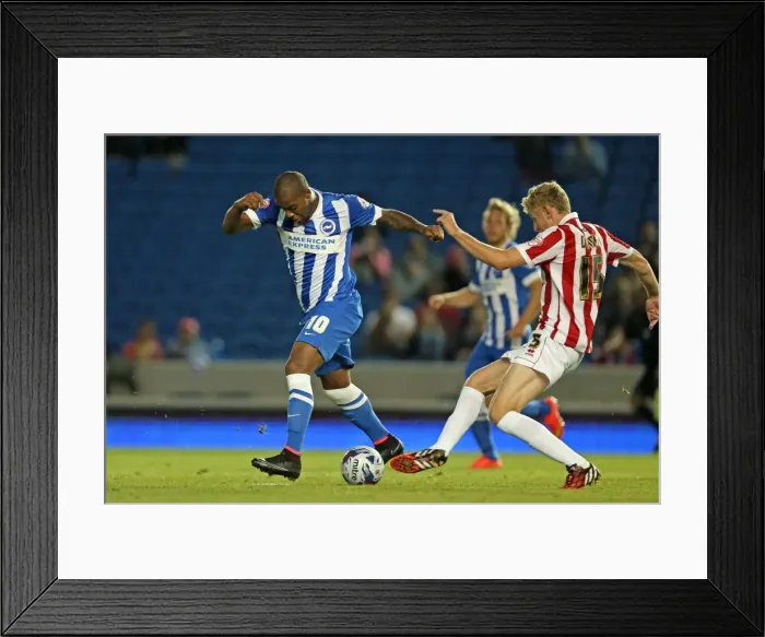 Framed Print : Brighton & Hove Albion 2014-15: Home Match against Cheltenham (August 12, 2014)