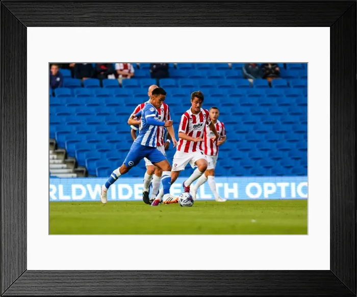Framed Print : Brighton & Hove Albion 2014-15: Home Game vs. Cheltenham (August 12, 2014) Framed Print : Brighton & Hove Albion 2014-15: Home Game vs. Cheltenham (August 12, 2014)