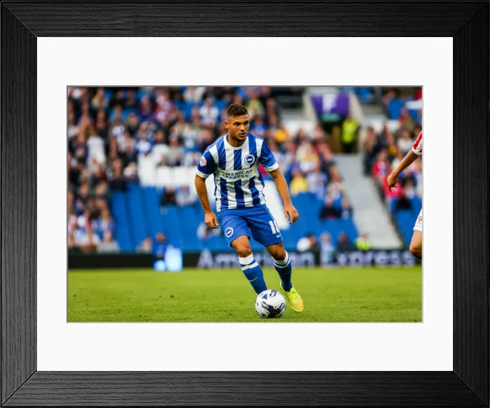 Framed Print : Brighton & Hove Albion 2014-15: Home Game vs Cheltenham (August 12, 2014) Framed Print : Brighton & Hove Albion 2014-15: Home Game vs Cheltenham (August 12, 2014)