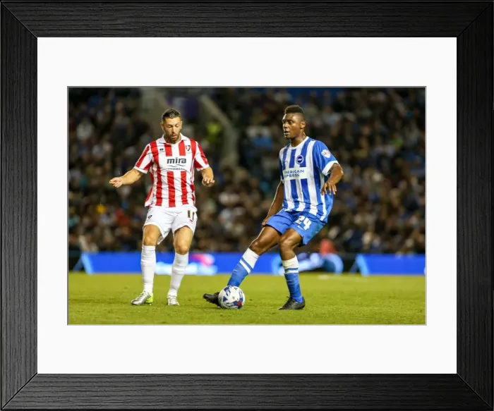 Framed Print : Brighton & Hove Albion 2014-15: Home Game vs Cheltenham (August 12, 2014) Framed Print : Brighton & Hove Albion 2014-15: Home Game vs Cheltenham (August 12, 2014)