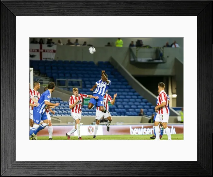 Framed Print : Brighton & Hove Albion 2014-15: Home Game vs. Cheltenham (August 12, 2014) Framed Print : Brighton & Hove Albion 2014-15: Home Game vs. Cheltenham (August 12, 2014)