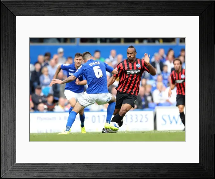 Framed Print : Brighton & Hove Albion 2014-15 Away Game: Birmingham (August 16, 2014)