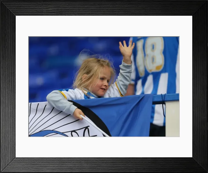Framed Print : Brighton & Hove Albion 2014-15 Away Game: Birmingham (August 16, 2014) Framed Print : Brighton & Hove Albion 2014-15 Away Game: Birmingham (August 16, 2014)