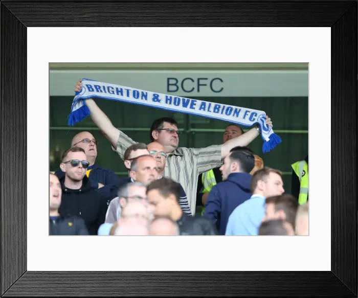 Framed Print : Brighton & Hove Albion 2014-15 Away Game: Birmingham City (August 16, 2014) Framed Print : Brighton & Hove Albion 2014-15 Away Game: Birmingham City (August 16, 2014)
