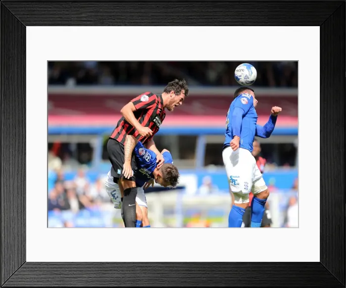 Framed Print : Brighton & Hove Albion 2014-15 Away Game: Birmingham (16 / 08 / 14)
