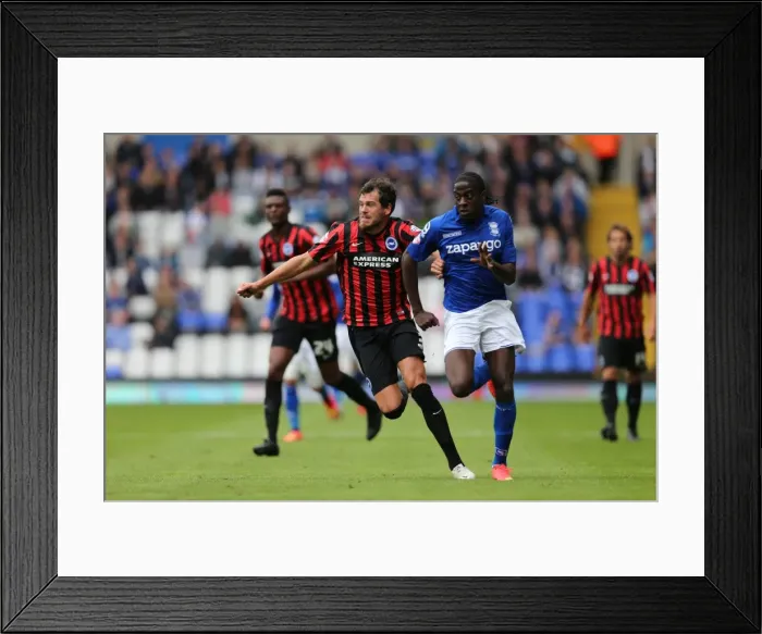Framed Print : Brighton & Hove Albion 2014-15 Away Game: Birmingham (August 16, 2014) Framed Print : Brighton & Hove Albion 2014-15 Away Game: Birmingham (August 16, 2014)