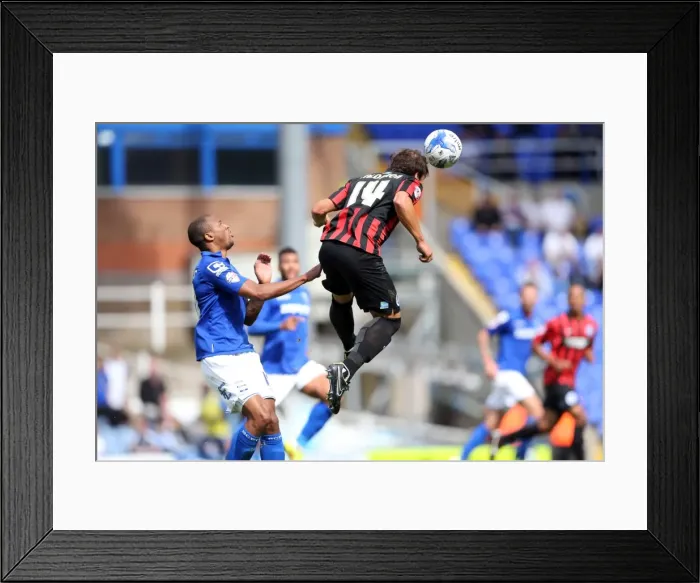 Framed Print : Brighton & Hove Albion 2014-15 Away Game: Birmingham (August 16, 2014) Framed Print : Brighton & Hove Albion 2014-15 Away Game: Birmingham (August 16, 2014)