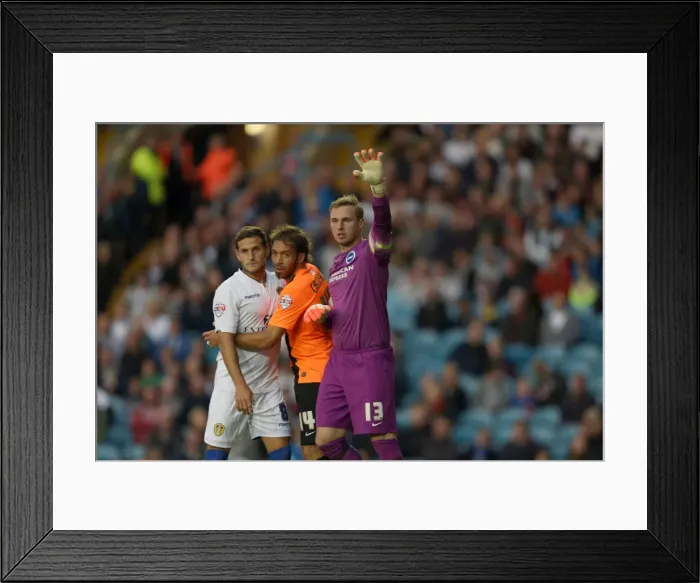 Framed Print : Brighton & Hove Albion 2014-15: Away Game at Leeds United (19 / 08 / 14) Framed Print : Brighton & Hove Albion 2014-15: Away Game at Leeds United (19 / 08 / 14)