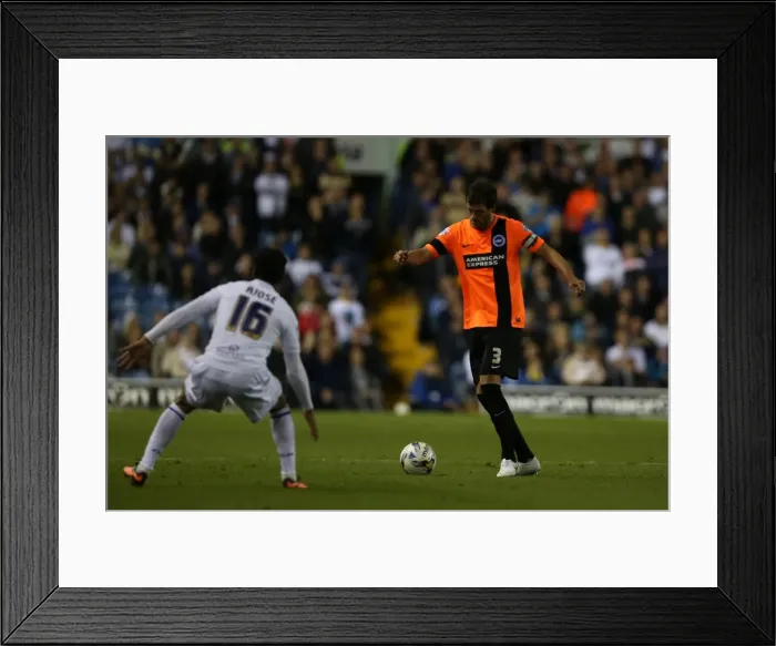 Framed Print : Brighton & Hove Albion 2014-15: Away Game at Leeds United (19 / 08 / 14) Framed Print : Brighton & Hove Albion 2014-15: Away Game at Leeds United (19 / 08 / 14)