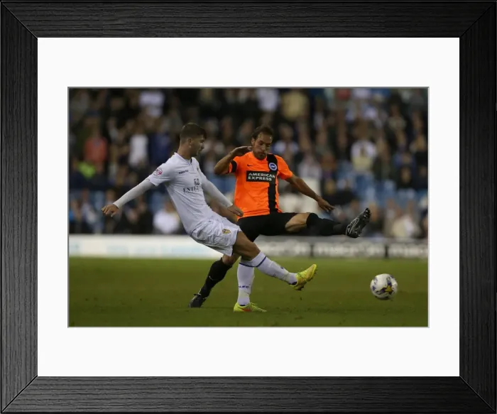 Framed Print : Brighton & Hove Albion 2014-15: Away Game at Leeds United (19 / 08 / 14)