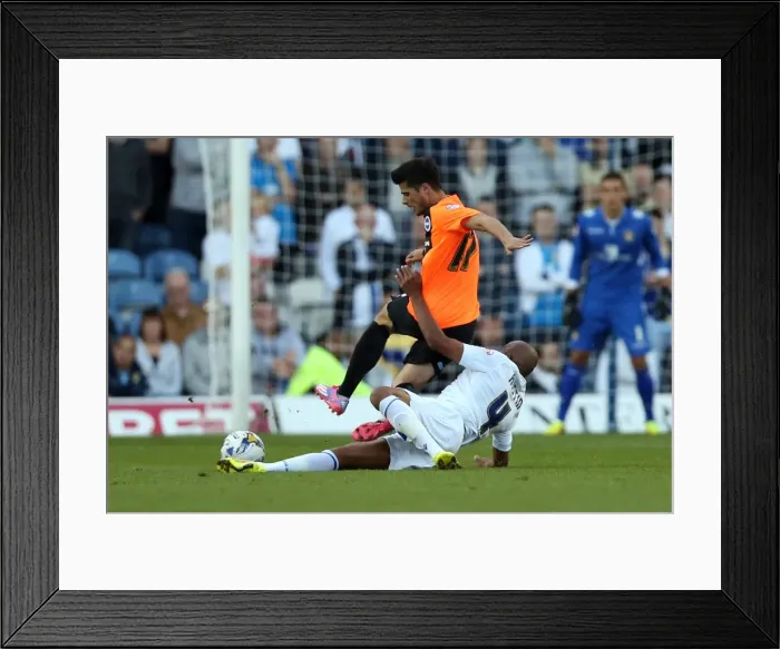 Framed Print : Brighton & Hove Albion 2014-15: Away Game at Leeds United (August 19, 2014) Framed Print : Brighton & Hove Albion 2014-15: Away Game at Leeds United (August 19, 2014)