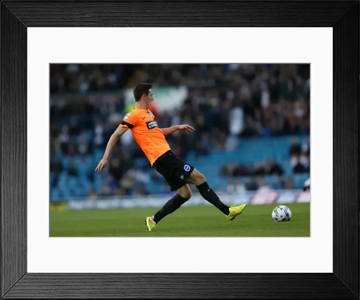 Framed Print : Brighton & Hove Albion 2014-15: Away Game at Leeds United (19 / 08 / 14)