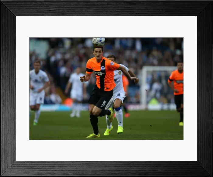 Framed Print : Brighton & Hove Albion 2014-15: Away Game at Leeds United - August 19, 2014
