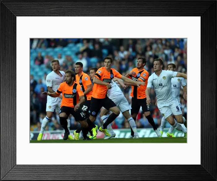 Framed Print : Brighton & Hove Albion 2014-15: Away Game at Leeds United (19 / 08 / 14)