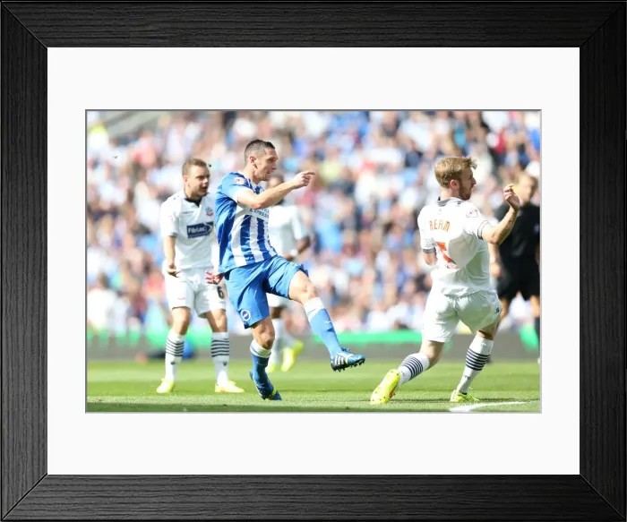 Framed Print : Brighton & Hove Albion 2014-15: Home Match vs. Bolton Wanderers (August 23) Framed Print : Brighton & Hove Albion 2014-15: Home Match vs. Bolton Wanderers (August 23)