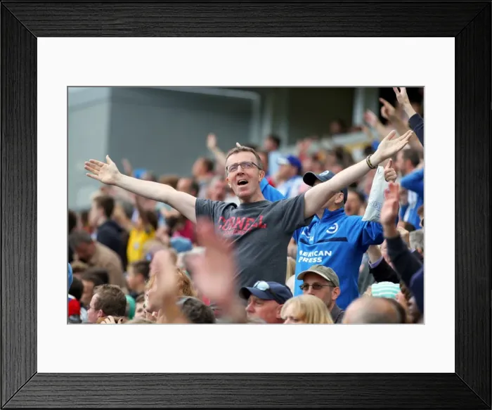 Framed Print : Brighton & Hove Albion vs. Bolton Wanderers: 2014-15 Season Home Game Framed Print : Brighton & Hove Albion vs. Bolton Wanderers: 2014-15 Season Home Game