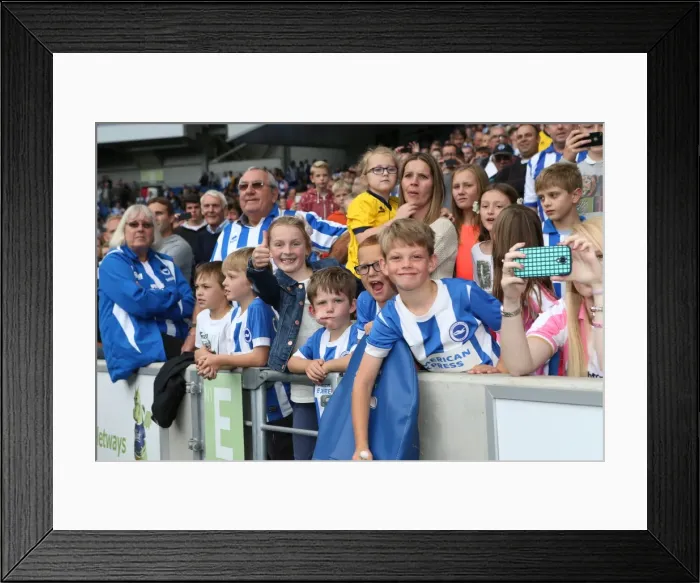 Framed Print : Brighton & Hove Albion 2014-15: Home Game vs. Bolton Wanderers (August 23, 2014)