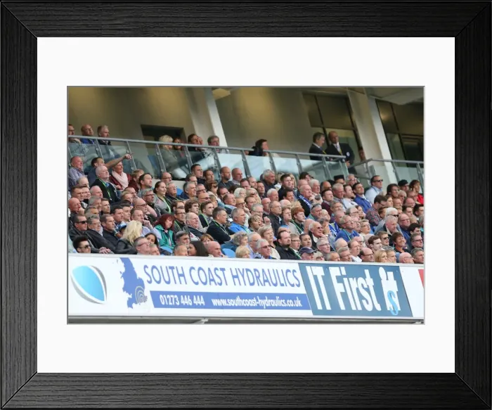 Framed Print : Brighton & Hove Albion vs. Bolton Wanderers: 2014-15 Season Home Game Framed Print : Brighton & Hove Albion vs. Bolton Wanderers: 2014-15 Season Home Game