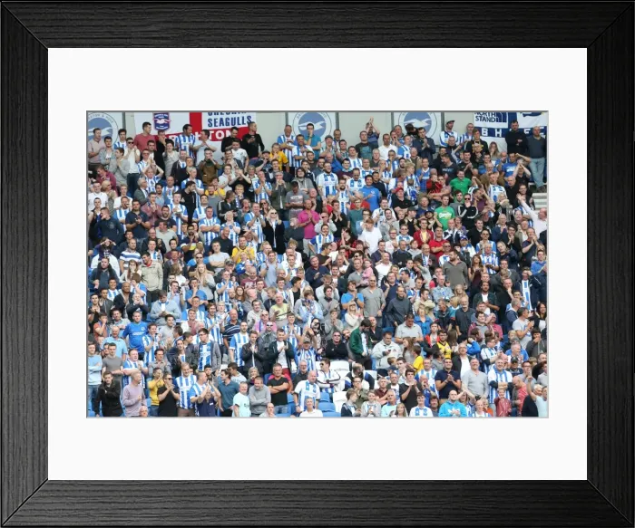 Framed Print : Brighton & Hove Albion vs. Bolton Wanderers: 2014-15 Season Home Game Framed Print : Brighton & Hove Albion vs. Bolton Wanderers: 2014-15 Season Home Game