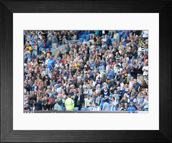 Framed Print : Brighton & Hove Albion vs. Bolton Wanderers: 2014-15 Season Home Game Framed Print : Brighton & Hove Albion vs. Bolton Wanderers: 2014-15 Season Home Game